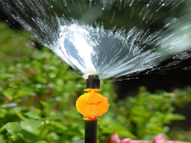 Béc tưới cho rau