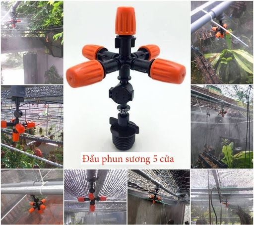 Bạn được gì khi sử dụng béc phun sương?