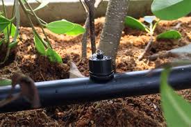 có nên lắp máy phun sương