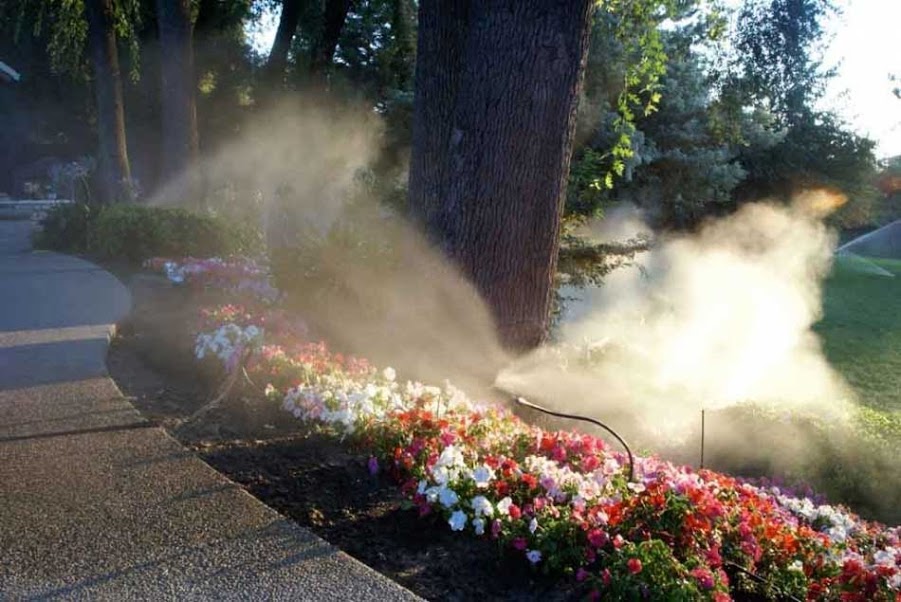 có nên lắp máy phun sương