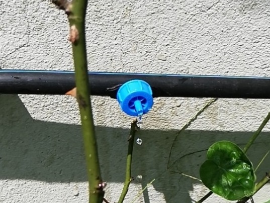 Béc nhỏ giọt là gì