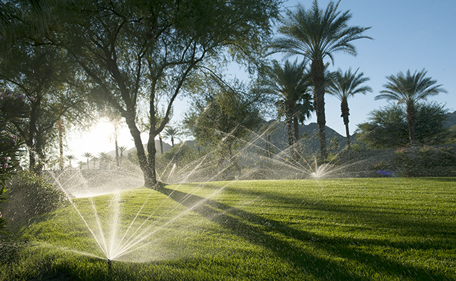 Béc phun mưa là gì?