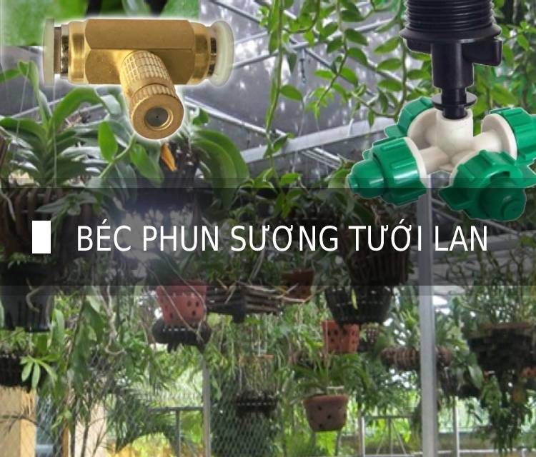Béc phun sương tưới lan