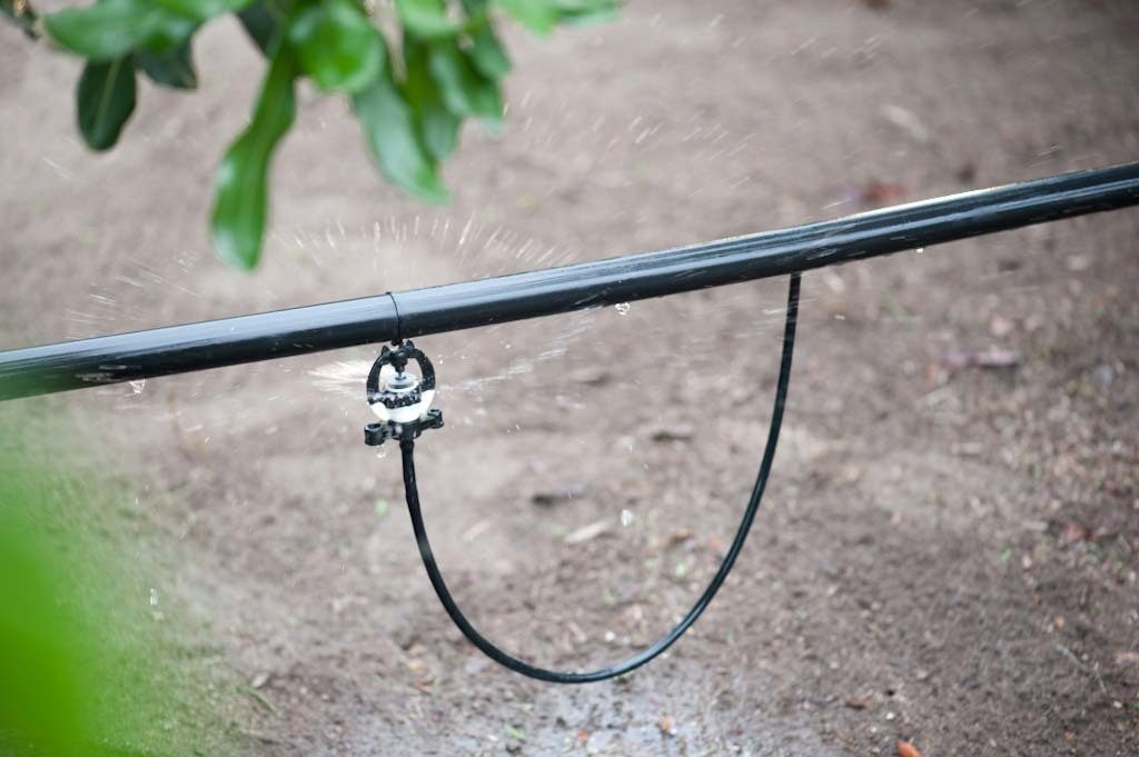 Béc tưới cây phun mưa