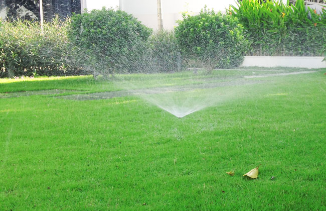 Giới thiệu về béc tưới cỏ