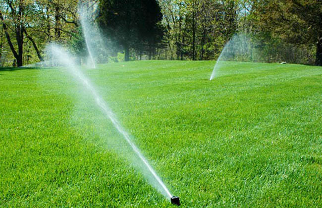 Tại sao nên mua béc tưới cỏ