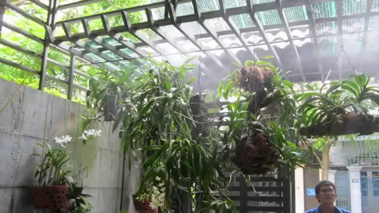 Hệ thống phun sương chất lượng 