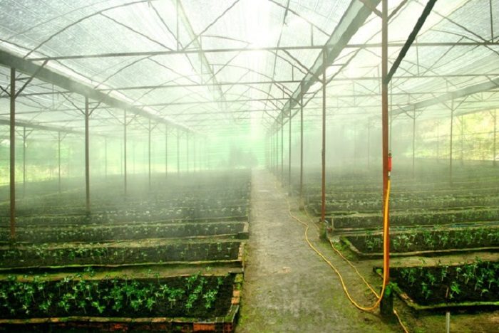 máy phun sương cao cấp