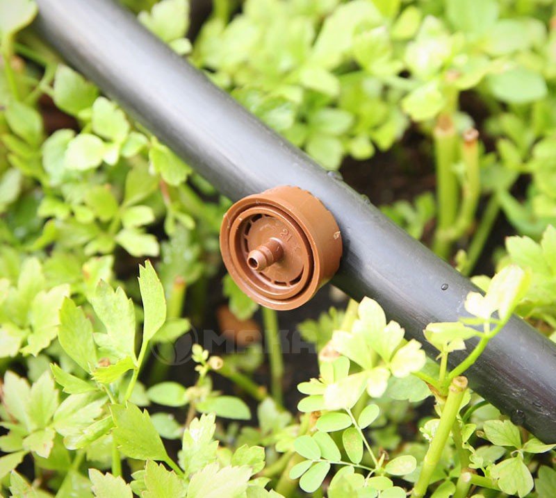 Địa chỉ bán béc nhỏ giọt chất lượng